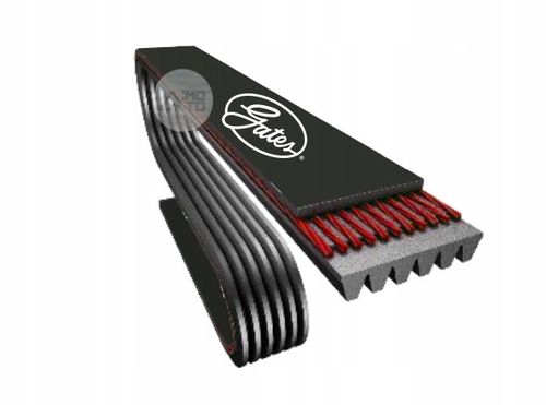 PASEK W/KLINOWY GATES na Arena.pl