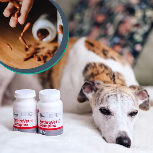 Suplement dla psów małych ras na stawy VET EXPERT ArthroVet Complex 60 kap. na Arena.pl