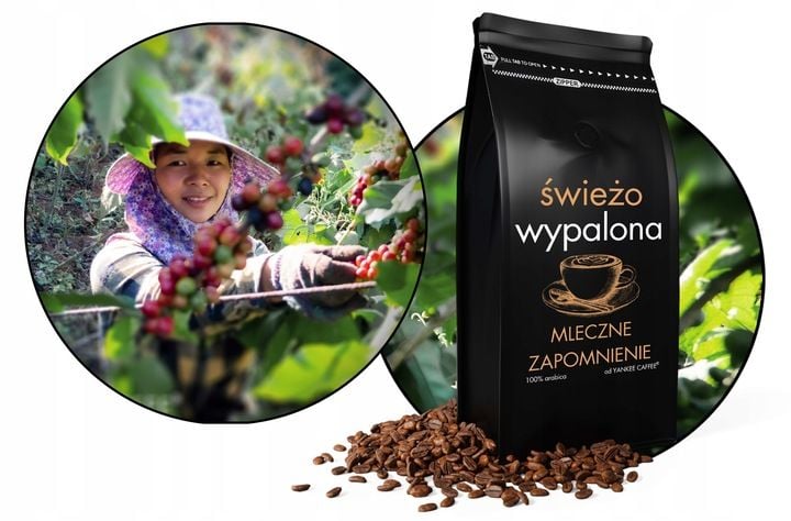 Kawa ziarnista do mleka 1kg ARABICA ŚWIEŻO PALONA Mleczne zapomnienie zdjęcie 5
