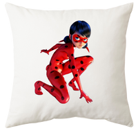 Poduszka Biedronka i Czarny Kot