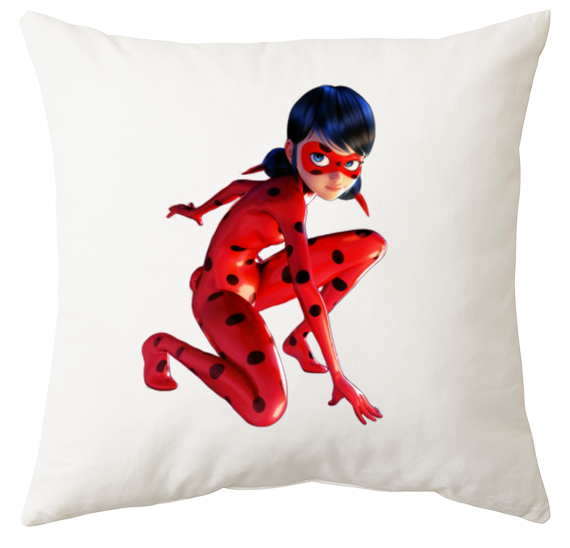 Poduszka Biedronka i Czarny Kot zdjęcie 1