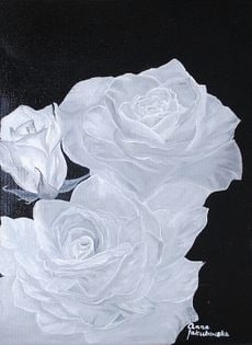 Białe róże (33x46cm)