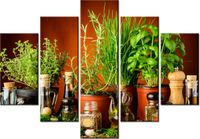 105CM 150CM OBRAZ 5 ELEM PRZYPRAWY ZIOŁOWE DRUK