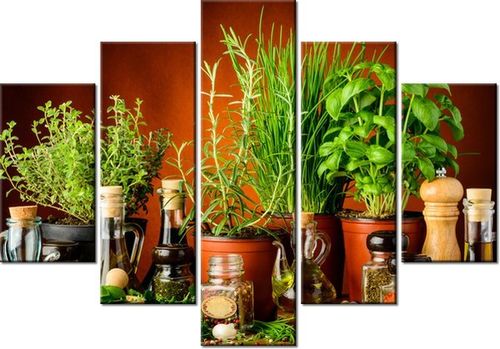 105CM 150CM OBRAZ 5 ELEM PRZYPRAWY ZIOŁOWE DRUK na Arena.pl