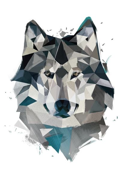 Wilk - plakat 50x70 cm zdjęcie 1