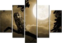 105CM 150CM OBRAZ 5 ELEM SOWA GAŁĘZI DRUK