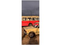 40X100CM OGÓRKI OBRAZ PION