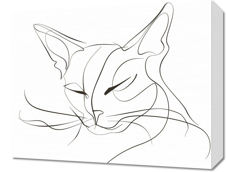 Obraz 50x40cm Linijny Kot zdjęcie 1