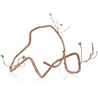 product-compare-61109020