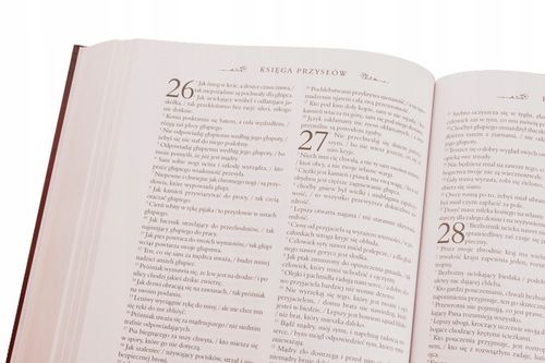 Pismo Święte Starego i Nowego Testamentu. Biblia domowa w etui na Arena.pl