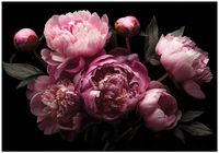 Fototapeta Na Flizelinie Do Sypialni Salonu Kwiaty 250x175