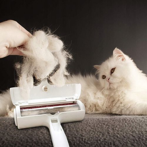 SZCZOTKA DO USUWANIA SIERSCI na Arena.pl