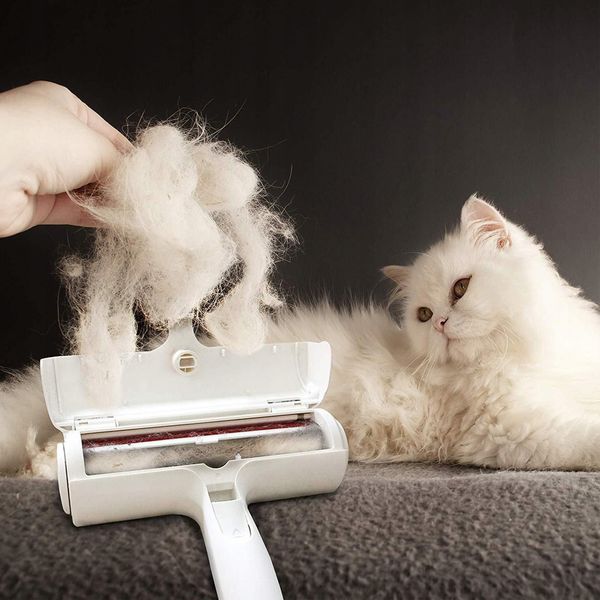 SZCZOTKA DO USUWANIA SIERSCI zdjęcie 9