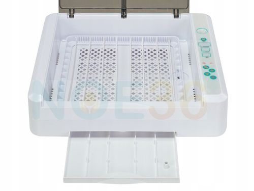 Inkubator Automatyczny NOE36 dla GĘSI kaczek INDYKÓW gołębi KLUJNIK AUTOMAT na Arena.pl