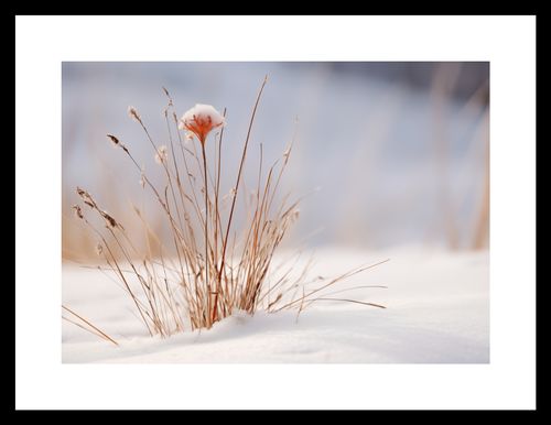 Plakat 29,7x21cm Zima w Detalach na Arena.pl