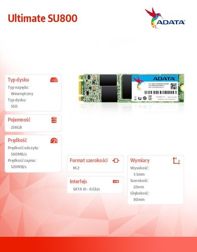 Adata SSD Ultimate SU800 256G M.2 560/520 MB/s 3D 8cm na Arena.pl