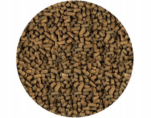 POKARM KARMA PASZA ZANĘTA GRANULAT DLA RYB KOI KARPI NA OCZKO WODNE na Arena.pl