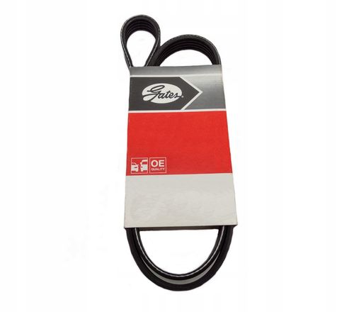PASEK W/KLINOWY 6PK2585 GATES na Arena.pl