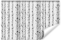 Fototapeta Ścienna BRZOZY Drzewa Natura Abstrakcja Mural 270cm x 180cm
