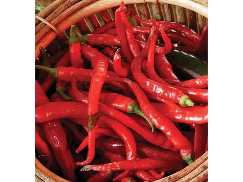Nasiona Papryka de Cayenne 0,5g na Arena.pl