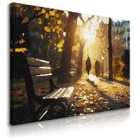 Obraz Na Płótnie Do Salonu Jesienny Park Słońce Malarstwo 70cm x 50cm