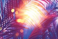 Tło PRODUKTOWE kulinarne Flat Lay na bloga insta