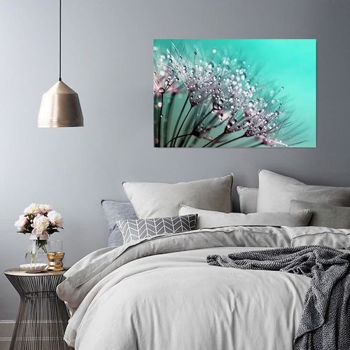Obraz na płótnie - Canvas, Dmuchawiec i rosa 50x70 na Arena.pl