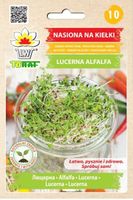 Kiełki Lucerna Alfalfa 20 g nasiona na kiełki