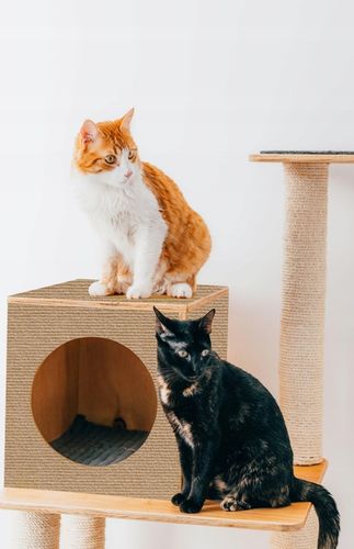 Samoprzylepna MATA DO DRAPANIA na kanapę meble dla kotów ochrona 200x40 na Arena.pl