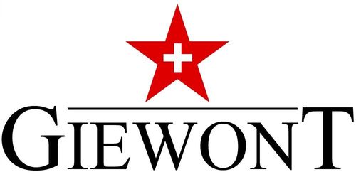 Zegarek Męski GIEWONT GW4290-2 na Arena.pl