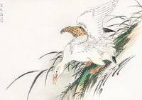 Plakat 100x70cm Albatross, Kashu Japoński Vintage do Salonu