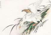 Plakat 100x70cm Albatross, Kashu Japoński Vintage do Salonu