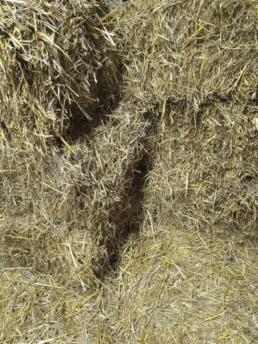 Słoma PSZENNA ściółka do budy dla psa ,ściółka pod truskawki 4KG na Arena.pl