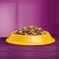 WHISKAS ADULT Z KURCZAKIEM SUCHA KARMA KOTA 7kg