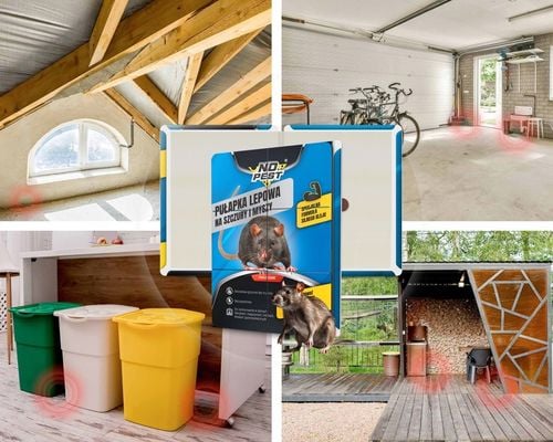 SILNY LEP PUŁAPKA KLEJ ŁAPKA NA SZCZURY MYSZY GRYZONIE NO PEST BARDZO na Arena.pl