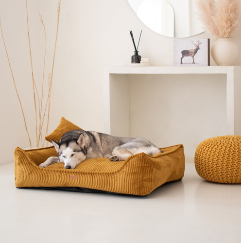 Ortopedyczne legowisko dla psa i kota MILANO MUSZTARDOWE M  – VISCO MEMORY na Arena.pl