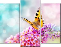 70 90CM OBRAZ 3 ELEM MOTYL KWIATKACH ŚCIENNY DRUK PŁÓTNO