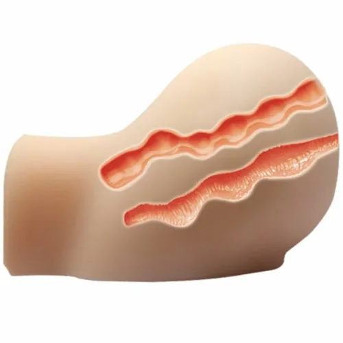 crazy bull model torso 6 z funkcją wibracji i teksturą premium na Arena.pl