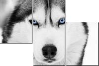 product-compare-58699072