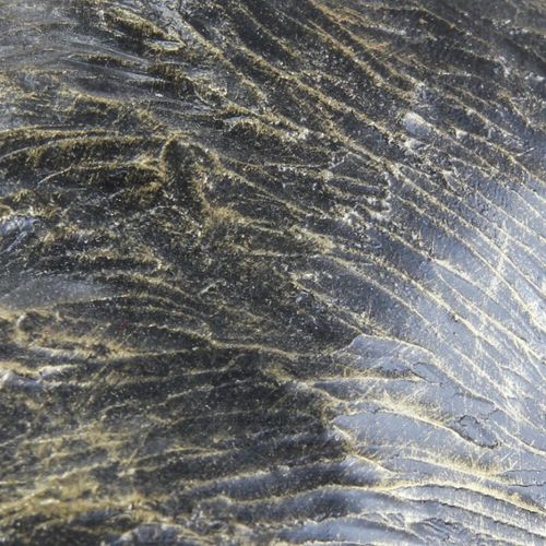 Cane Corso - figurka - 127 na Arena.pl