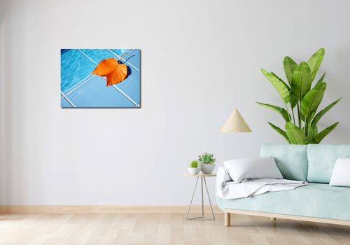Obraz 70x50cm Liść przy Wodzie na Arena.pl