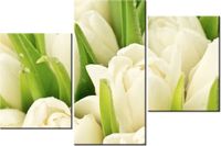 60 90CM OBRAZ 3 ELEM DELIKATNE TULIPANY ŚCIENNY DRUK PŁÓTNO