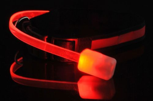 Obroża LED czerwona - M na Arena.pl