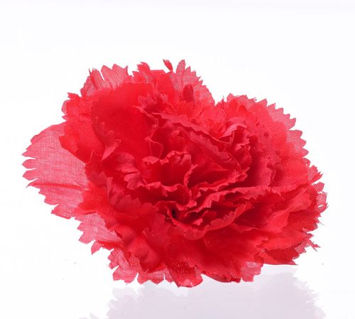 Goździk wyrobowy czerwony na Arena.pl