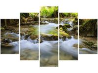 product-compare-58676260