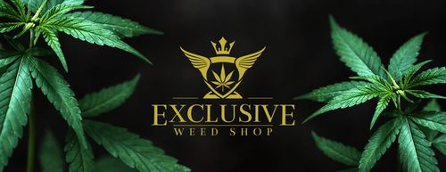 Susz konopny CBD Trym Orange Haze AMSTERDAM 50g na Arena.pl