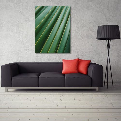 Obraz na płótnie - Canvas, Fragment liścia 60x80 na Arena.pl