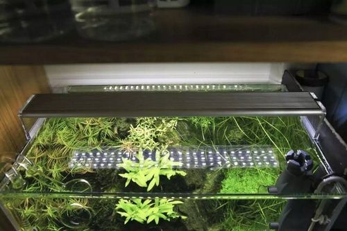 Chihiros belka LED A301 18W 30-50cm na Arena.pl