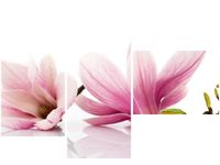 100CM 80 OBRAZ 3 ELEM RÓŻOWE MAGNOLIE ŚCIENNY