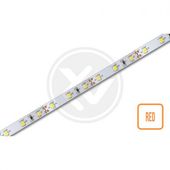 TAŚMA LED 2835 4,8W/M 12V CZERWONA DIMMING 5M IP20 DO MONTAŻU